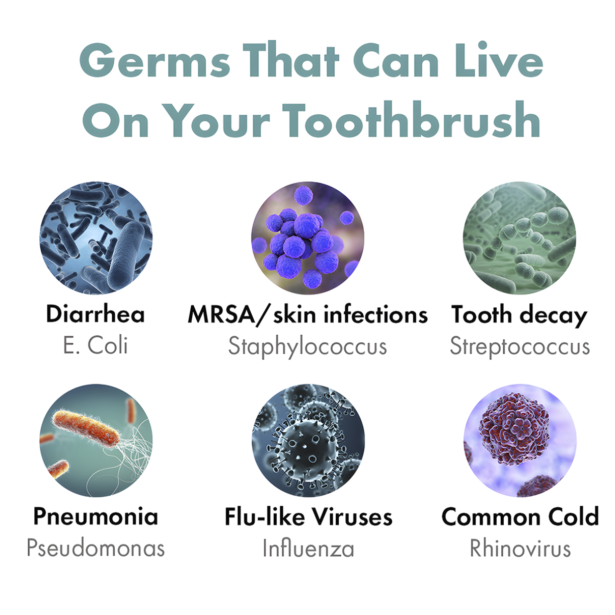 Graphic showing different types of germs that can live on a toothbrush