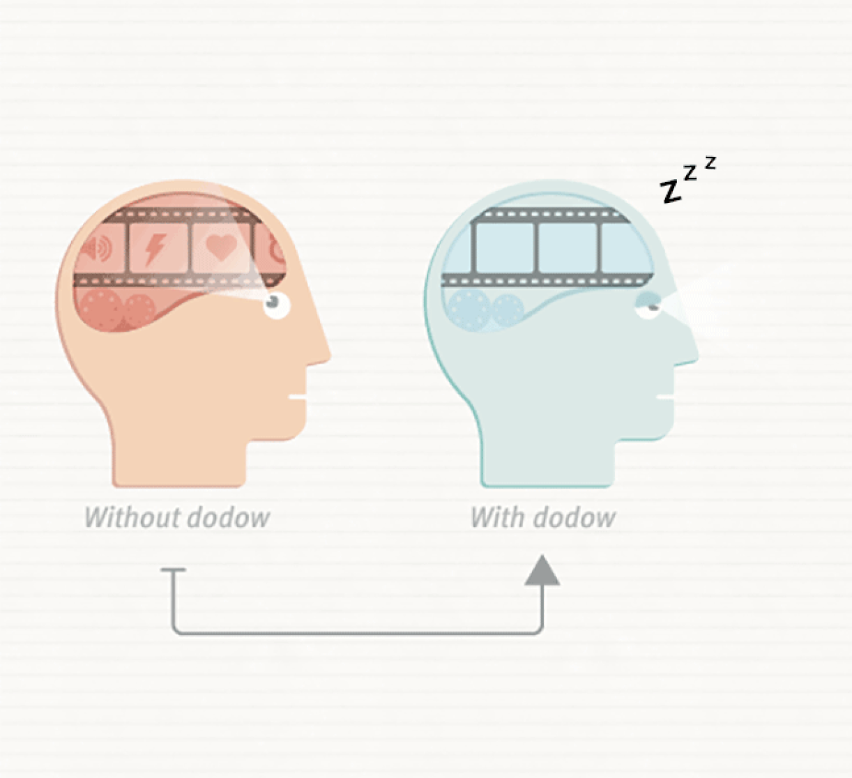 Illustration comparing brain activity with and without Dodow