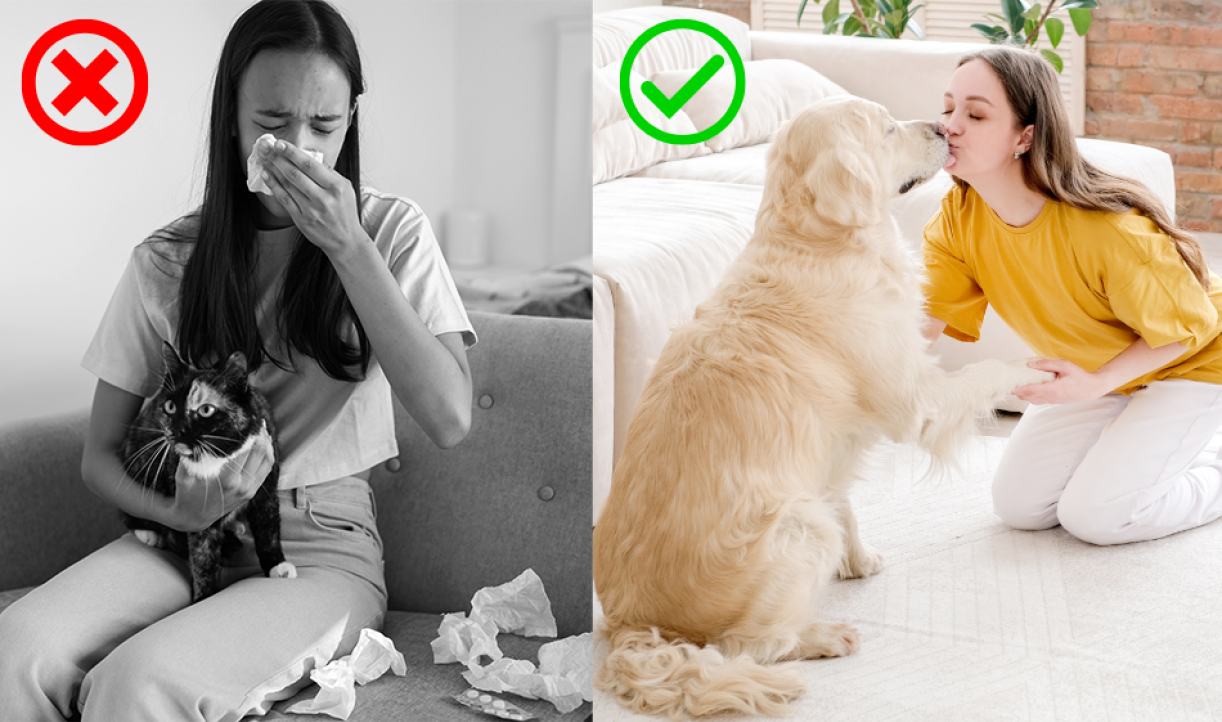 Comparison of allergy symptoms with and without FurZapper