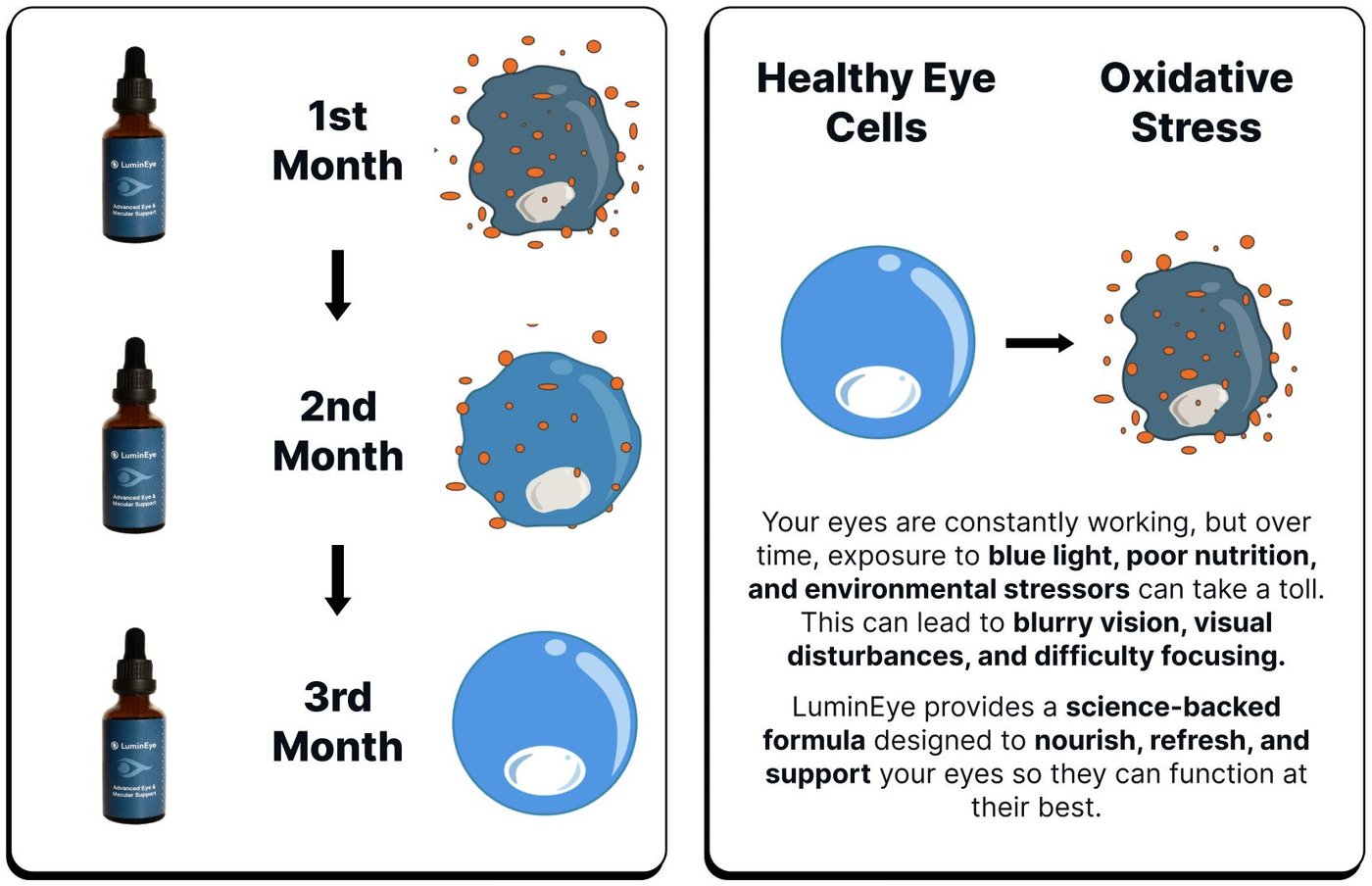 Diagram showing eye cell health and oxidative stress over time