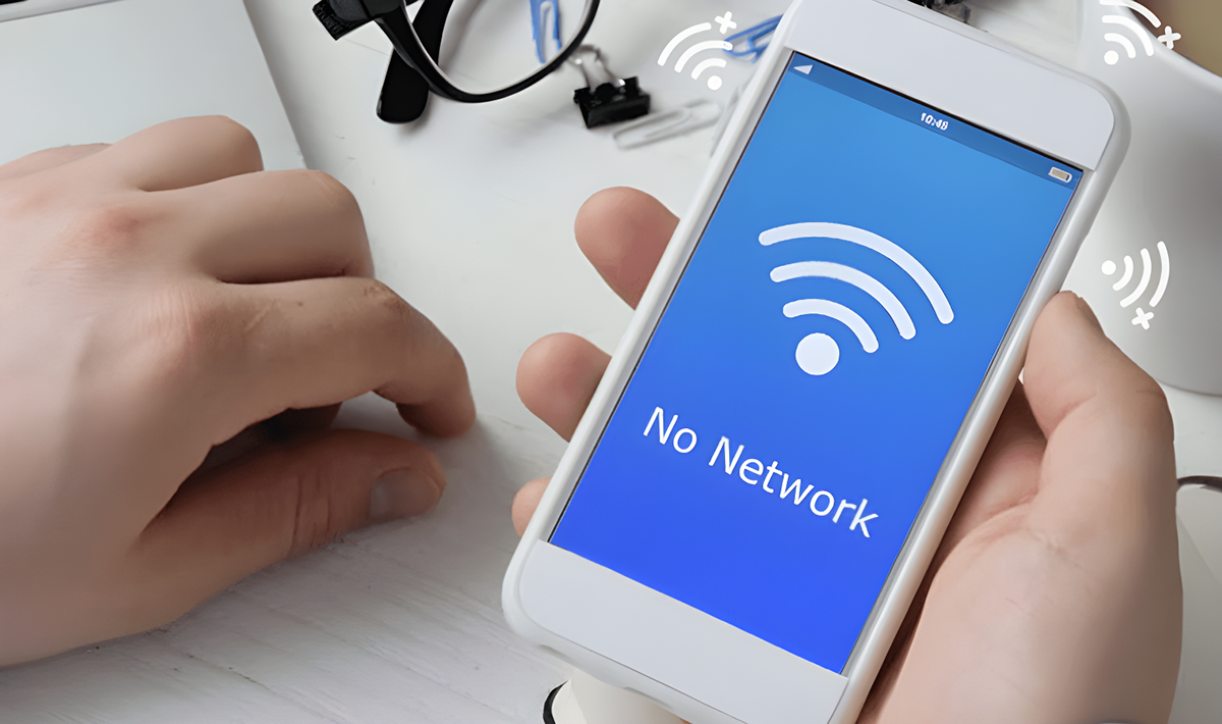 Smartphone screen showing 'No Network' message