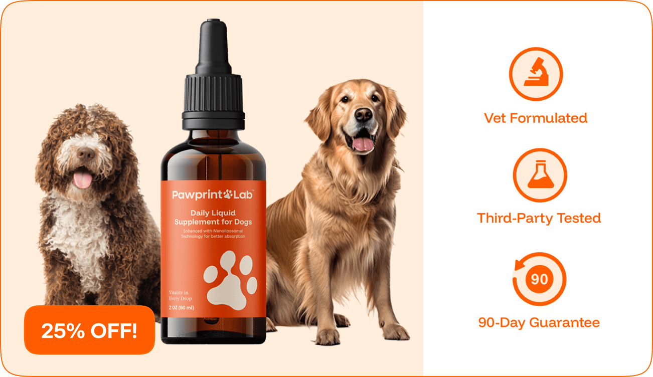 Pawprint Protocol Review: Can A Liquid Supplement Really Reverse Cellular Aging In Dogs?
