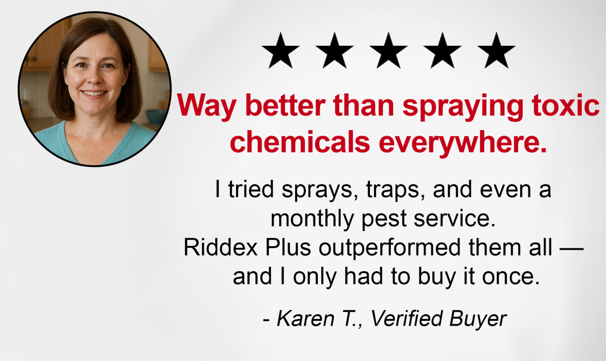 A testimonial graphic with a photo of a woman and a customer review praising the