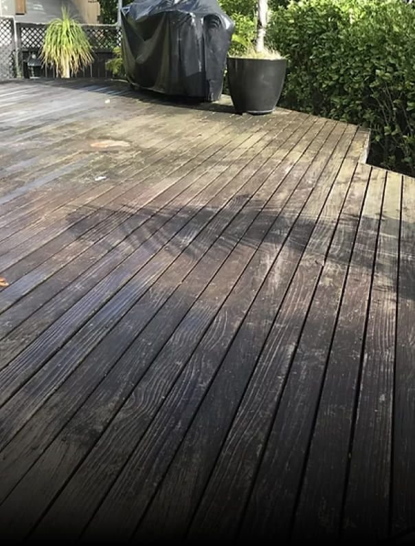 Surface before cleaning with the Synoshi Pro