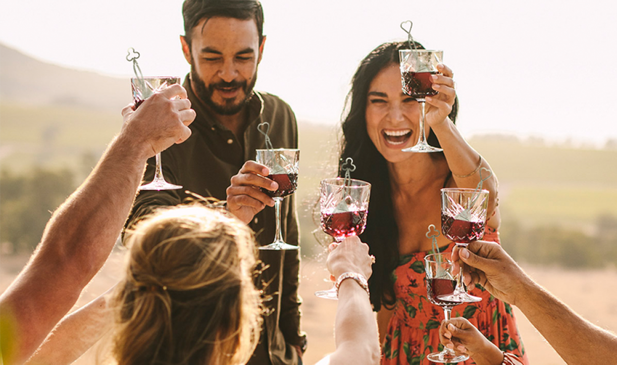 Group of people toasting with glasses of red wine outdoors